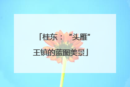 桂东：“头雁”王镇的蓝图美景